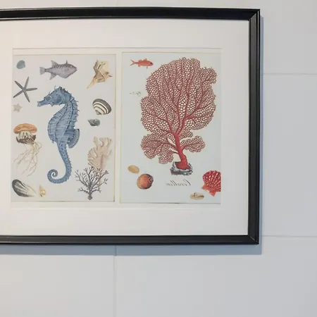 Appartement Adler D&d Międzywodzie