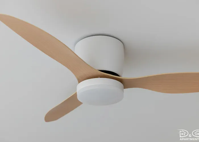 Adler D&d Międzywodzie